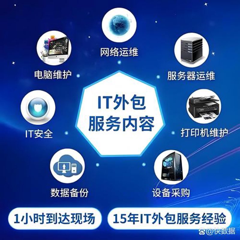 数字化转型下上海软件开发行业的趋势与机遇